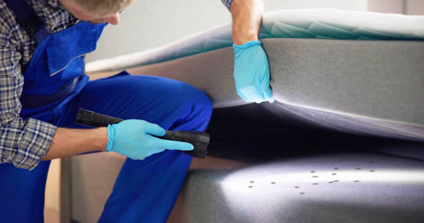Best Insect Control  in Citrus Hills, FL